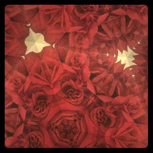 Meet your Posher, Lynette